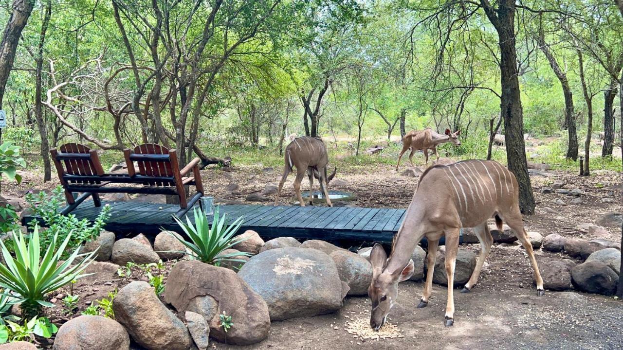 Kruger Kumba - Lahlekile Nathi Apartment Marloth Park Ngoại thất bức ảnh