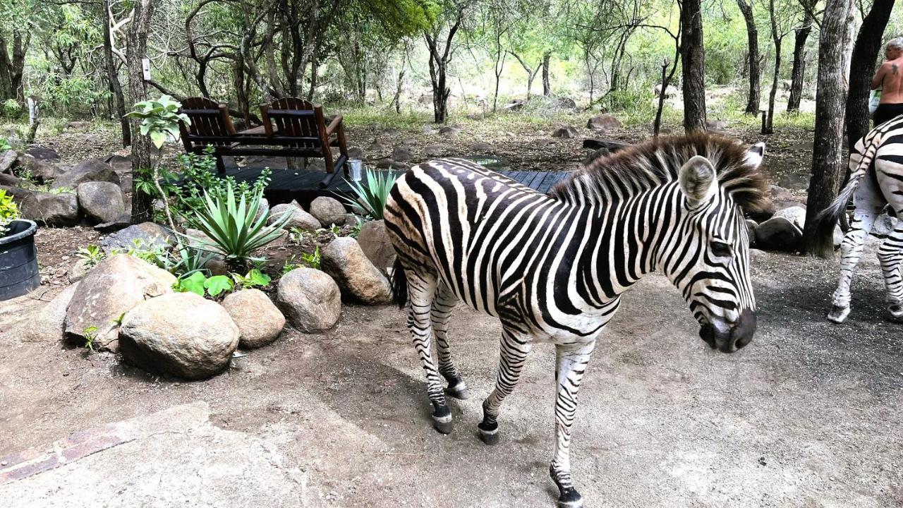 Kruger Kumba - Lahlekile Nathi Apartment Marloth Park Ngoại thất bức ảnh
