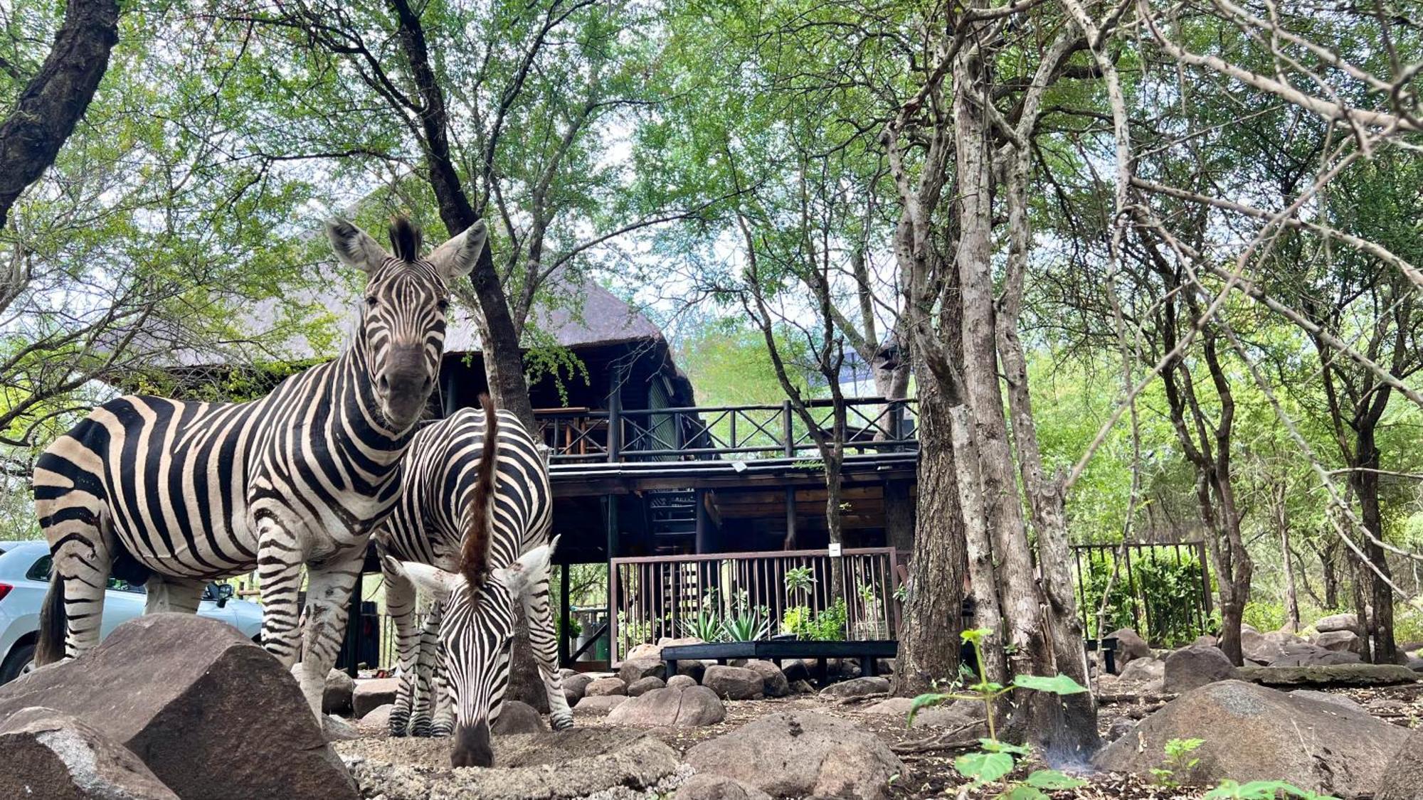 Kruger Kumba - Lahlekile Nathi Apartment Marloth Park Ngoại thất bức ảnh